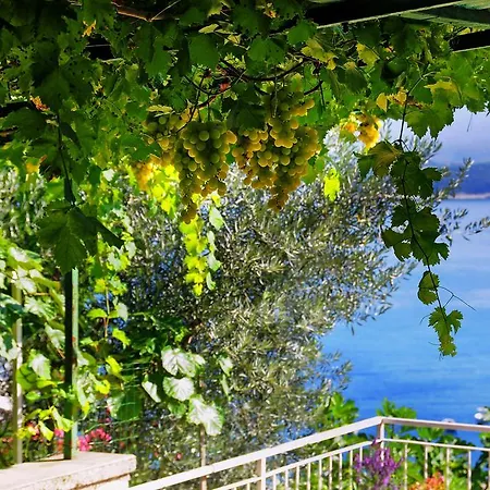 Apartman Nadija *